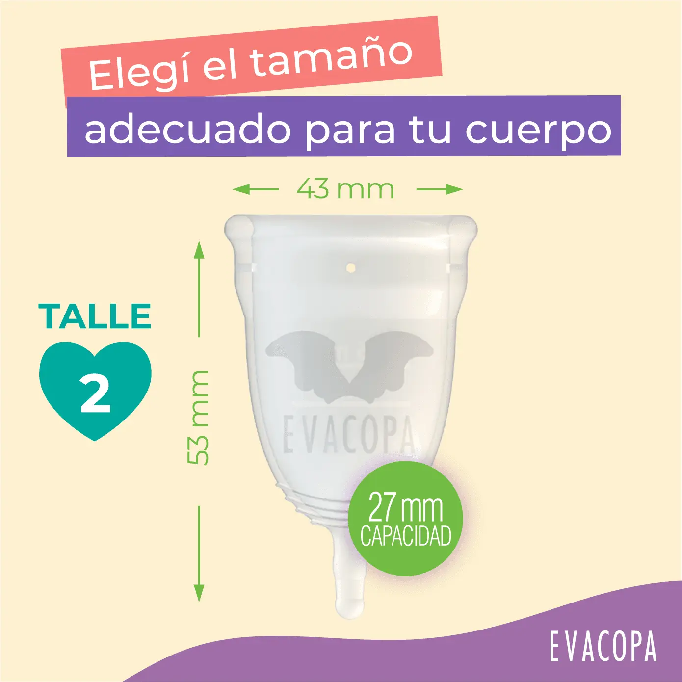 Medidas de la copa menstrual EVACOPA talla 2: 43 mm de diámetro, 53 mm de largo y 27 ml de capacidad